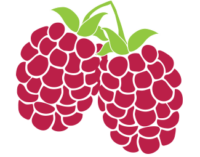berries have lots of healthy fiber